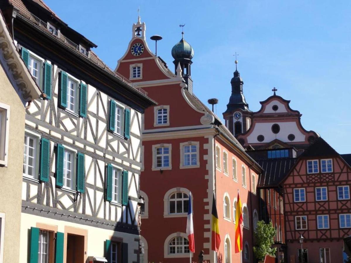 Appartement Perfekt Fuer Familien Und Gruppen Nur 10Min Vom Europapark - W6 à Ettenheim Extérieur photo